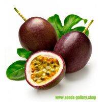 เมล็ดเสาวรส 100% heirloom Passiflora- passion fruit-maracuja seeds