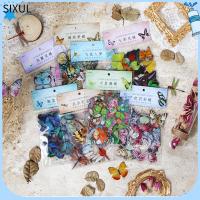 SIXUL 320pcs หลากสี สติกเกอร์ติดผนัง สัตว์เลี้ยงสำหรับสัตว์เลี้ยง สติกเกอร์แบบใส สติกเกอร์ตกแต่งลาย สติกเกอร์แมลงปอ ดีไอวาย