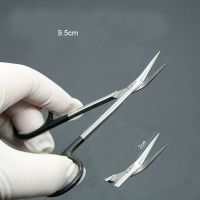 ;[- Nose Comprehensive  Bird Beak Cut Nasal Septum Scissors Oblique Mouth 45° Scissors Take Ear Cartilage Wow Mouth Scissors