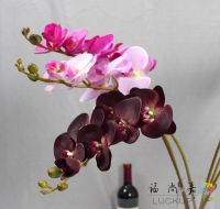 【CC】 1 Stem Real Artificial Moth Orchid for new Wedding Decoration F472