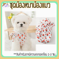 เสื้อหมา เสื้อแมว ชุดสัตว์เลี้ยง pet costume