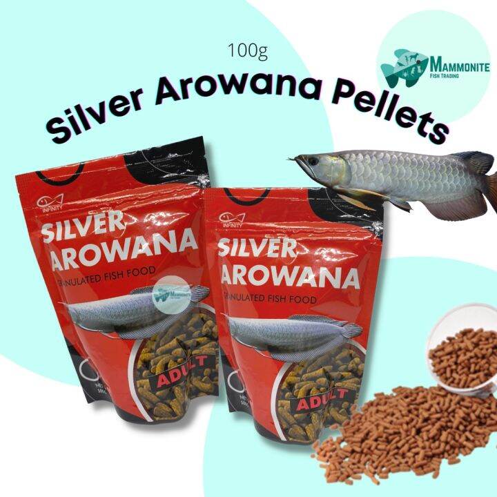 Aquarium Fish Silver Arowana Food Granulated Pellets 100g Lazada PH