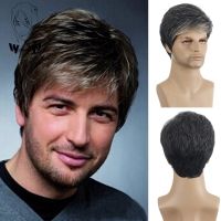 WHIMSICAL W Men Short Hair Synthetic Wigs For Daily Use Fashion Wig Ombre Male Natural Hair Heat Resistant Breathable