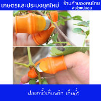 ? ปลอกนิ้วเด็ดพริก เด็ดถั่ว มีดเด็ดผัก ปลอกนิ้วสแตนเลส 1ชุด 5นิ้ว