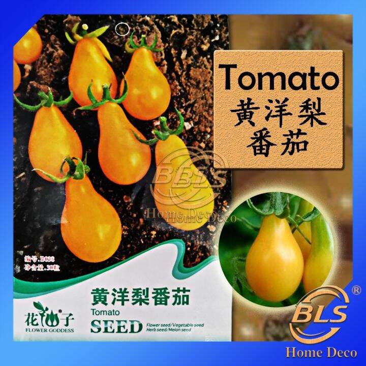 【EXPIRED】BIJI BENIH B038 TOMATO FLOWER GODDESS VEGETABLE FLOWER FRUIT