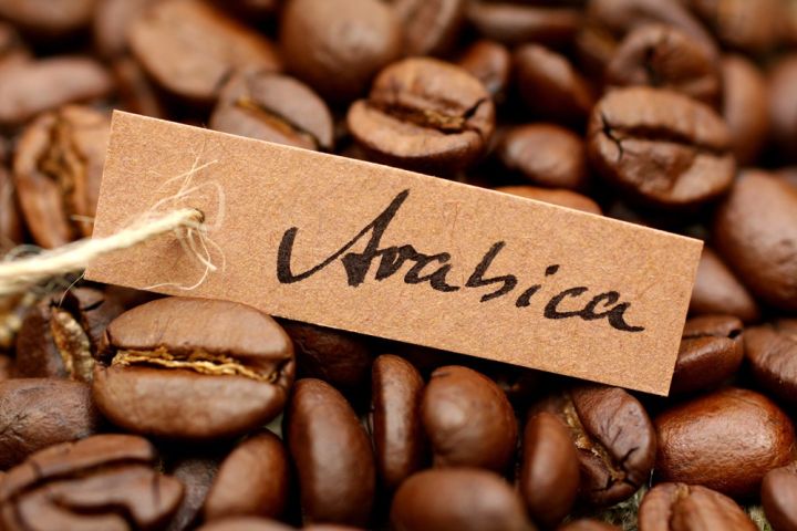 1kg hạt cà phê arabica ranh mộc (có bảo hành được kiểm tra hàng) | Lazada.vn