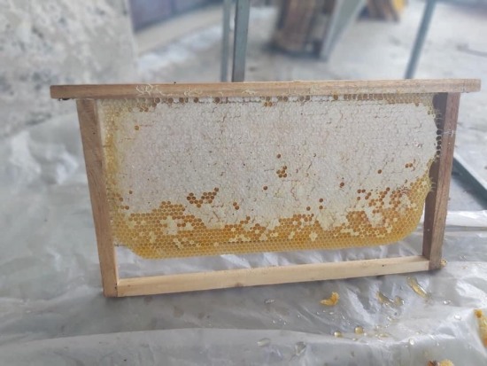 Sáp mật ong nguyên chất 1kg - ảnh sản phẩm 6