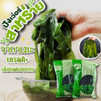 สาหร่ายวากาเมะ วากาเมะอบแห้ง เกรดA+ 100g/ถุงใหญ่  พองตัว14-15เท่า ใช้ทำเมนู ซุปมิโซะ ยำสาหร่าย ซุปชาบู  Wakame 裙带菜