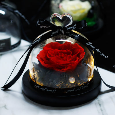 【cw】Beauty and the Beast Natural Preserved Flowers Eternal Rose Home Decoration With Lights Wedding Decor Mothers Day Gift ！
