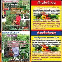 พริก ฮอตเตอร์2 ขนาด 50 กรัม