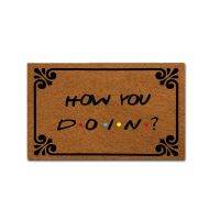 【PPQ Home Life Museum】 พรมเช็ดเท้าทางเข้า-พรมเช็ดเท้าตลก-How You Doin Indoor Outdoor Decoration Door Mat 18X30 Inch