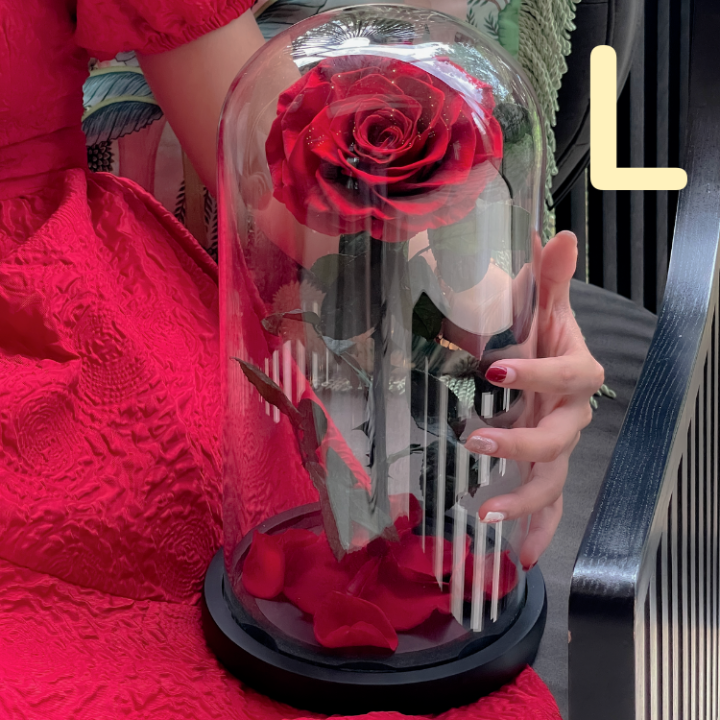 กุหลาบในโหลแก้ว-size-l-สูง-32-cm-preserved-rose-ของขวัญครบรอบ-กุหลาบอมตะ-ของขวัญให้แฟน-ดอกกุหลาบ-กุหลาบสดในโหลแก้ว-ของแท้