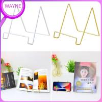 ชั้นวางจานขาตั้งการแสดงผลนิตยสารสำหรับกรอบรูปแผ่นหนังสือ4ชิ้นจาก WAYNE