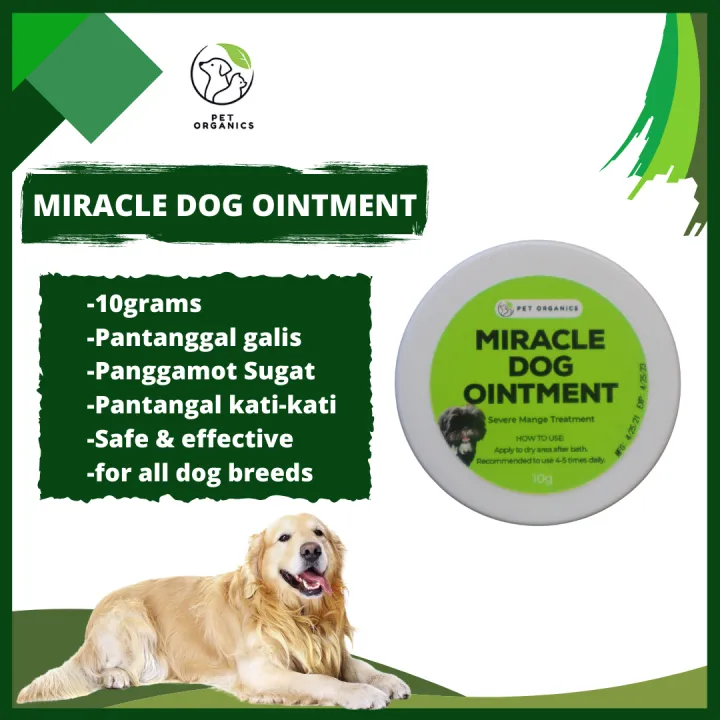 is ad ointment safe for dogs