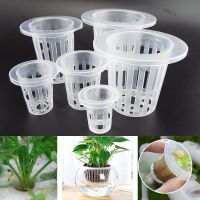 10Pcs Plant Grow Net Nursery Pots Hydroponic Colonization Mesh Cup Plant Soilless Greenhouse Plastic Basket Holder 6TH