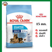 ?ส่งฟรี Royal Canin ลูกสุนัข สูตร Maxi Starter เม็ดใหญ่  ขนาด 15 กิโลกรัม เก็บเงินปลายทาง ✨