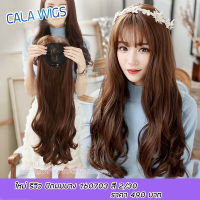 วิกเสริมผมบาง Cala wigs วิกผม รหัสผมปิดบางรหัสสินค้า 160703