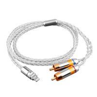 YYAUDIO USB C RCA Audio Cable Type C to 2 RCA Cable For Speaker Amplifier  Sumsung  Lightning to 2RCA Splitter