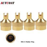 【CW】 AUTCOAT 4Pcs/Set Metal Slotted Slot Cap with Core RemoverTire Air Dust Cover Stem