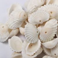 50กรัมเปลือกหอยธรรมชาติหอยสังข์สีขาวทะเลเชลล์ลูกปัด7รูปแบบ Cowrie Cowry สำหรับเครื่องประดับทำแฟชั่นทะเลลูกปัดชุดสร้อยคอสร้อยข้อมือต่างหูเสน่ห์จี้ DIY เรซิ่นยูวีอีพ็อกซี่แม่พิมพ์ฟิลเลอร์อุปกรณ์เสริม