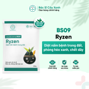 BS09 Ryzen Chế phẩm diệt nấm bệnh, ra rễ, xanh lá, mập cây, ngừa héo xanh