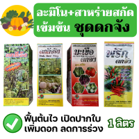 [1ลิตร][ชุดดกจัง 4 แบบ] ฮอร์โมนบำรุงพืช อาหารเสริมพืช เพิ่มผลผลิต ทนโรค ชุด บำรุงแตง เมล่อน พริก มะเขือ