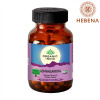 Viên uống nhân sâm ấn organic india ashwagandha 60 viên - hebenastore - ảnh sản phẩm 1