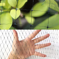 Graceful Black Anti Bird Netting Poultry Net Aviary For Vegetables Plants and Fruit Trees