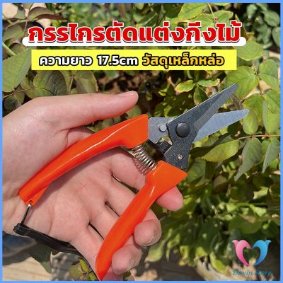 DS. กรรไกรแต่งกิ่งไม้ เหล็กคาร์บอน สำหรับใช้ในสวน ด้ามกระชับมือ garden shears