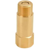 ۩✲ 1PC Valve quality 59 brass anti-freeze valve Anti-freeze valve water pipe protection valve 1 degree drain valve wear resistance