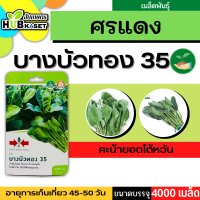 ศรแดง ?? คะน้า บางบัวทอง 35 ขนาดบรรจุประมาณ 4000 เมล็ด อายุเก็บเกี่ยว 45-50 วัน