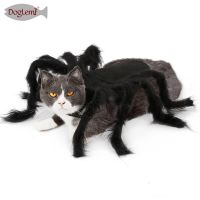 ZZOOI dog clothes Halloween Costumes Scary Spider Cosplay For Small Kitten Puppy Clothes Pet Clothing Dressing up Dog Cat Accessories
