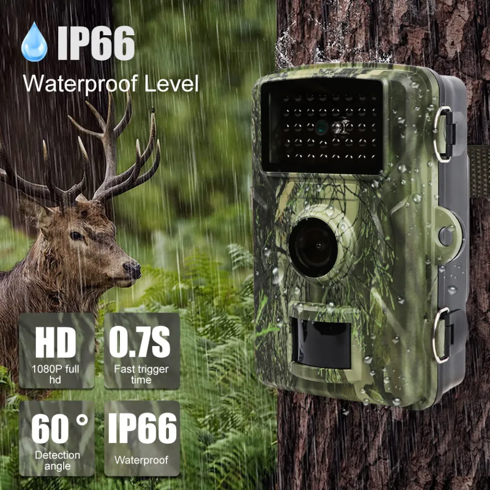 Sollona wildlife best sale trail camera