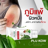 ส่งฟรี มีปลายทาง !! (12 หลอด) ครีมพลูคาว พญายอ แก้โรคผิวหนัง สะเก็ดเงิน ผื่นคัน กลาก เกลื้อน แผลพุพอง โรคเรื้อรังที่มีแผลตามผิวหนัง