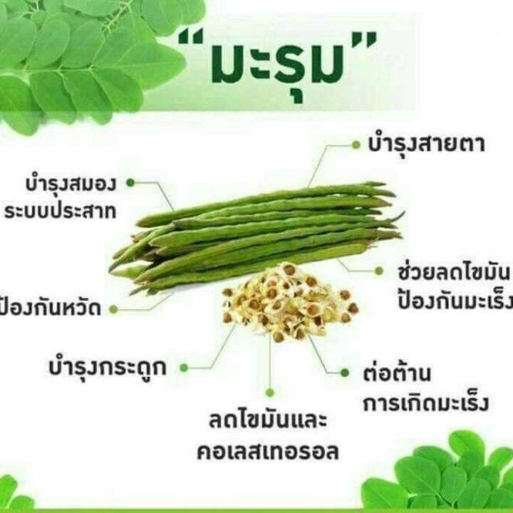 มะรุมซี-กิฟฟารีน-ใบมะรุมสกัด-ผสมวิตามินซี-marum-c-giffarine-ลดอาการปวด-โรคเก๊าท์-ควบคุมน้ำตาล