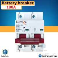 DC Breaker 100A