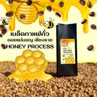 ✶เมล็ดกาแฟคั่ว ฮั่นนี่โพรเซส(honey process) อาราบิก้า ดอยแม่มอญ เชียงราย♭