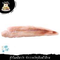 ***Please press the delivery fee in front of the shop./กรุณากดค่าส่งที่หน้าร้านค้า*** 450G/PIECE เนื้อปลากะพงแสมลอกหนัง SEA BASS FILLET SKINLESS