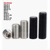 Fine Thread M4 M5 M6 M8 M10 M12 DIN913 304 Stainless 12.9 Grade Steel Allen Hex Hexagon Socket Flat Grub Headless Bolt Set Screw