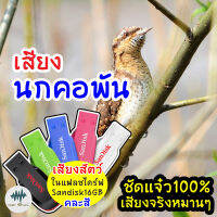 เสียงนกคอพัน เสียงต่อนกคอพัน เมม/แฟลชไดร์ฟเสียงต่อนกคอพัน พร้อมส่ง เก็บเงินปลายทาง ชัดแจ๋ว100%ไม่มีโฆษณาแทรก (MP3เสียงต่อสัตว์)