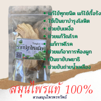 รากปลาไหลเผือก Tonkat Ali ขนาด 50/100 กรัม พร้อมส่ง (Phuchifa_Organic)