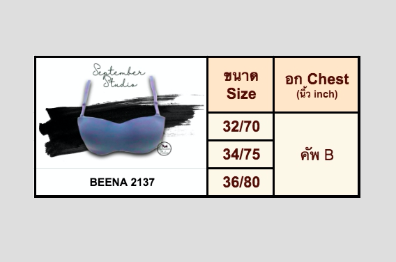 beena2137-ชุดชั้นในเกาะอก-เสื้อในเกาะอก-เสริมฟองน้ำ-เสื้อในดูมดูม-เสื้อในฟองน้ำหนา