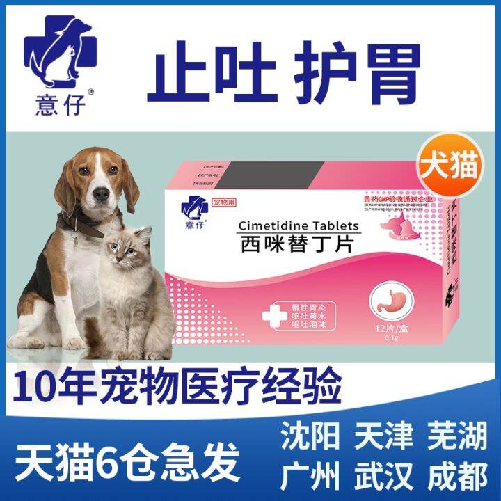 Pet antiemetics dog cat vomiting gastroenteritis food gastritis