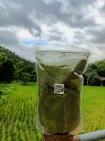 หญ้าหวานบดผงออร์แกนนิค100% บรรจุถุงละ500กรัม(บดผงจากใบหญ้าหวานเท่านั้น ไม่ผสมก้าน,แป้ง,น้ำตาล) Organic Stevia Powder 500g.