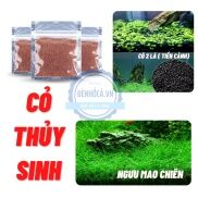 Hạt giống thủy sinh dành cho hồ thủy sinh