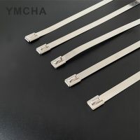 10PCS 4.6mm Series Width Stainless Steel Metal Cable Ties Tie Zip Wrap Exhaust Heat Straps Induction Pipe Cable Management