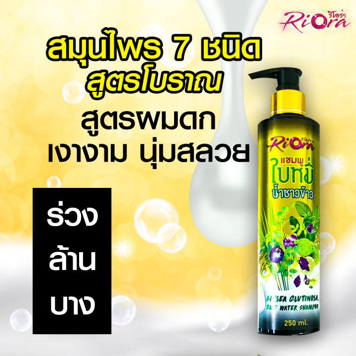 แชมพู-เร่งผมยาว-แก้ผมร่วง-แก้หัวล้าน-riora-สูตรผมดกดำเงางาม-ใบหมี่-น้ำซาวข้าว-ริโอร่า