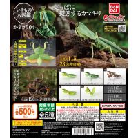 GACHA Ecological Atlas FIGURE South N Mantis Deroplatys Desiccata จำลองการเคลื่อนไหวของแมลงจำลองตุ๊กตาขยับแขนขาได้แบบจำลองตัวตุ๊กตาแอคชั่นตุ๊กตาขยับแขนขาได้ S