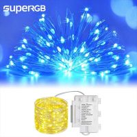 10M RGB LED String Lights Copper 100 Lamp Beads Wire Garland Light Waterproof Fairy Lights Party Decoration For Christmas Weddin