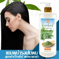 MESZE Shampoo แชมพู ฟ้าทลายโจร ยาสระผม สมุนไพรแท้ ไม่ใส่สารกันเสีย พาราเบน ซิลิโคน SLS SLES ลดผมแตกปลาย อาการคัน รังแค ผมนุ่มสวย หนานุ่ม ขนาด 450ml